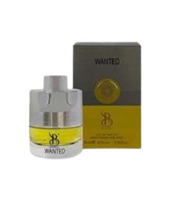 عطر جیبی مردانه Wanted برندینی 25 میلی لیتری