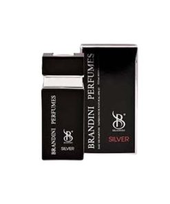 عطر جیبی مردانه برندینی سیلور سنت Silver حجم 25 میل