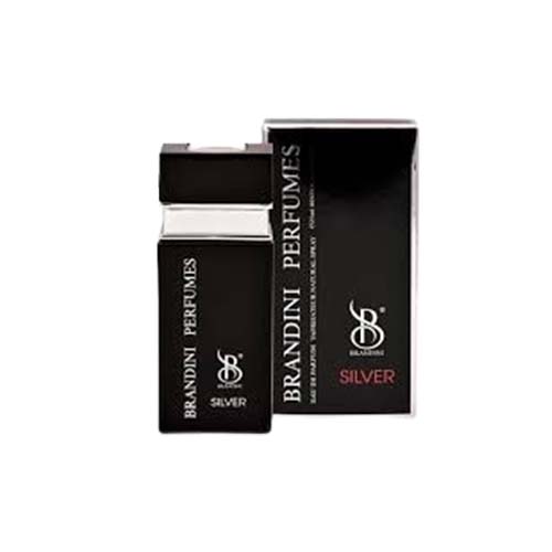 عطر جیبی مردانه برندینی سیلور سنت Silver حجم 25 میل